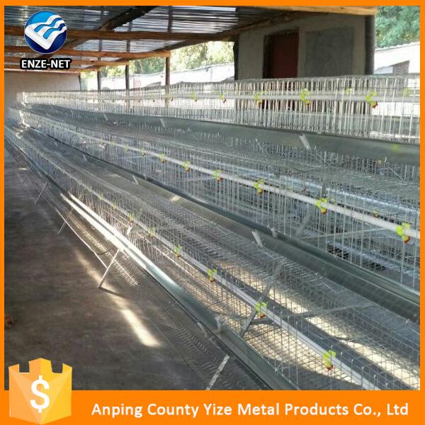 Chicken Eggs Layer Cage For Chiken