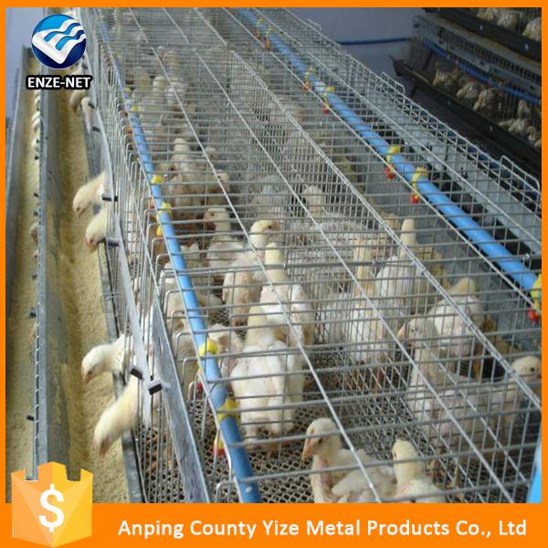 best sell cheap laying eggs cages for poultry farm 