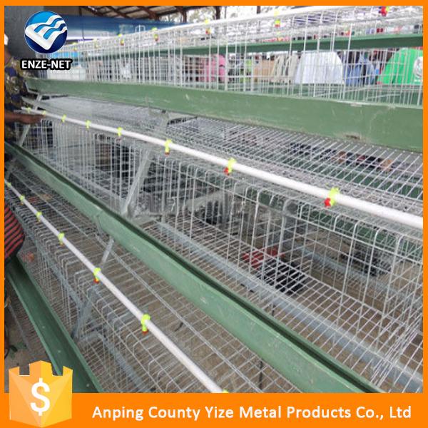 breeding chicken farm cage design for farming