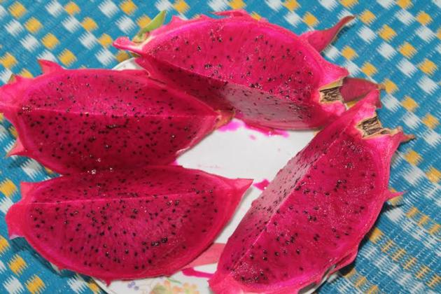 FRESH DRAGON FRUIT WITH RED WHITE