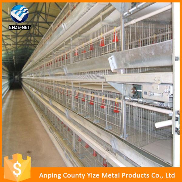 Small Chicken Laying Cage For Egg