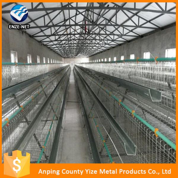 commercial plastic poultry used chicken cage for sale
