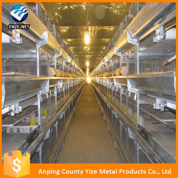 A Type Poultry Farm Layer Cages