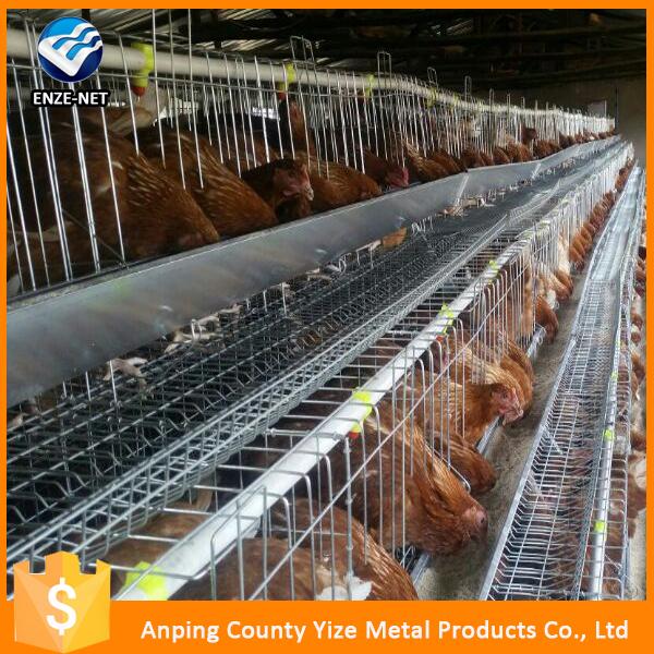 Chicken Eggs Layer Cage For Chiken