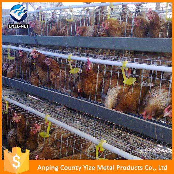 Chicken Eggs Layer Cage For Chiken
