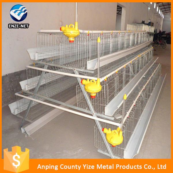High Quality Cheap Poultry Farm Best