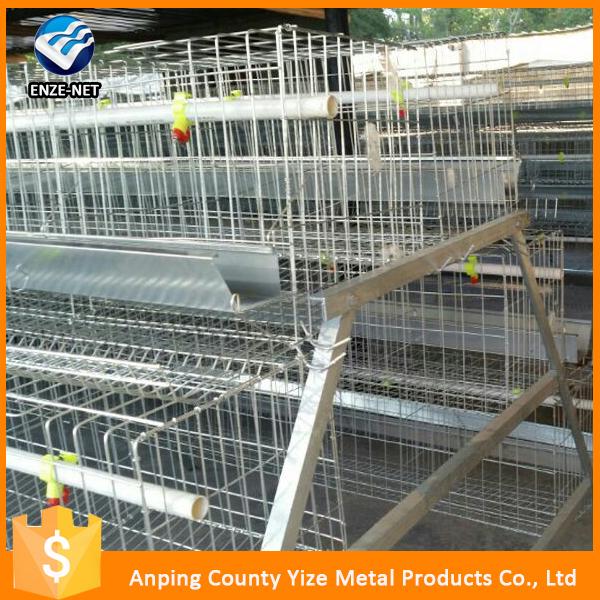 Best Sell Cheap Laying Eggs Cages