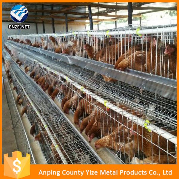 Best Sell Cheap Laying Eggs Cages