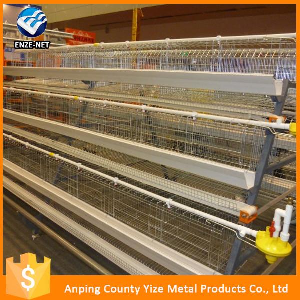 H Type Control Chicken Layer Cage
