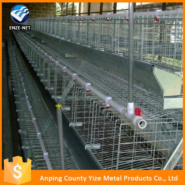 Breeding Chicken Farm Cage Design For