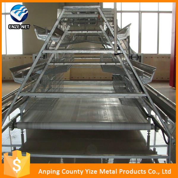 Layer Chicken Cage For Chicken Farm