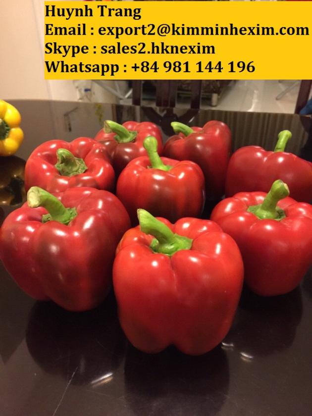 FRESH CAPSICUM