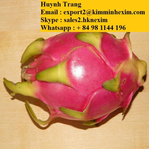 FRESH DRAGON FRUITS