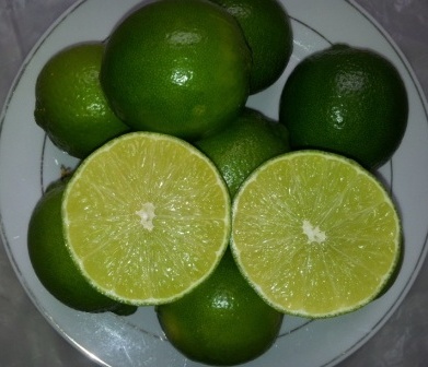 FRESH GREEN LIME