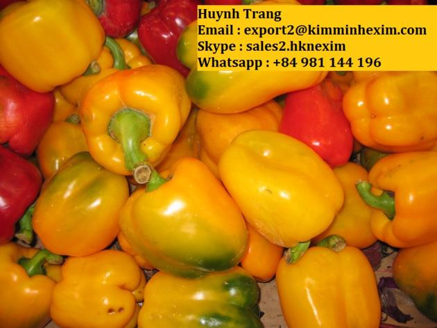 FRESH CAPSICUM