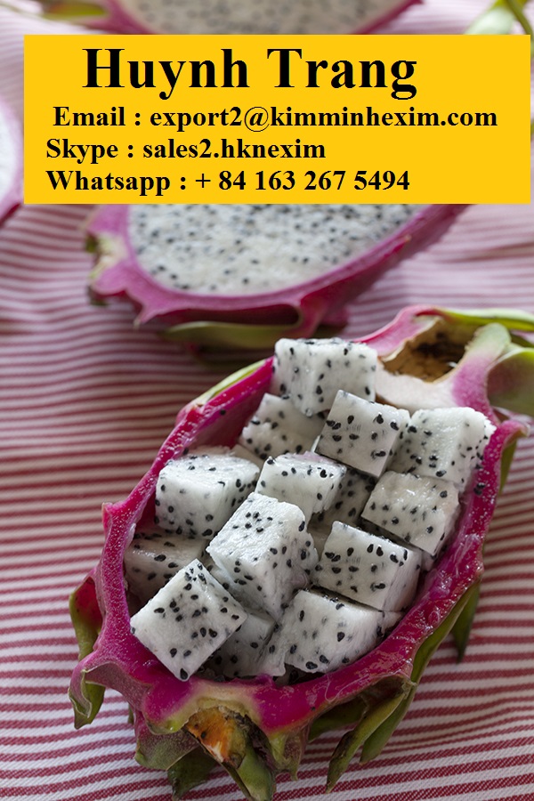 Frozen Dragon Fruit Dice