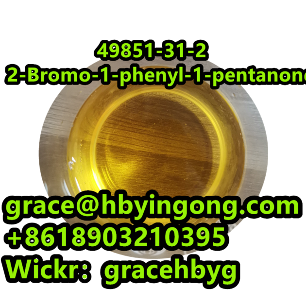 High Quality 49851 31 2 2
