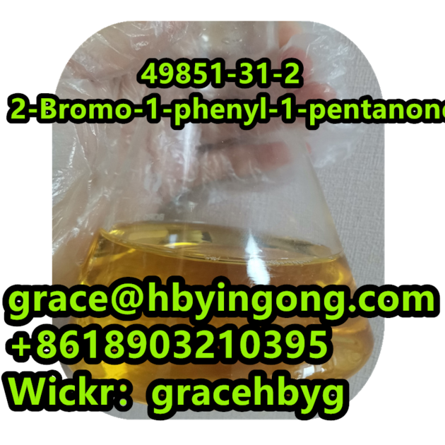 High Quality 49851 31 2 2