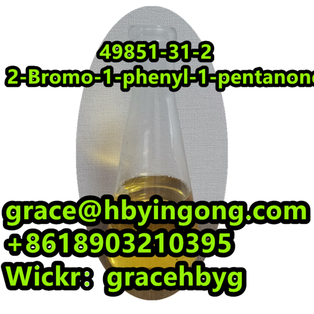 High Quality 49851 31 2 2