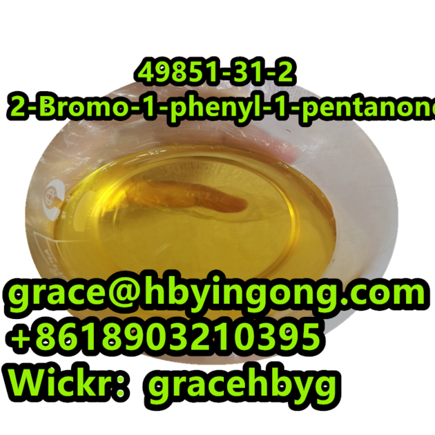 High Quality 49851 31 2 2