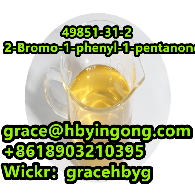 High Quality 49851 31 2 2