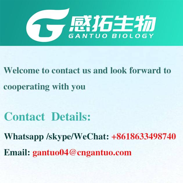 PMK Methyl Glycidate CAS 13605 48