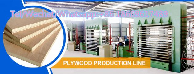 Plywood Making Machine