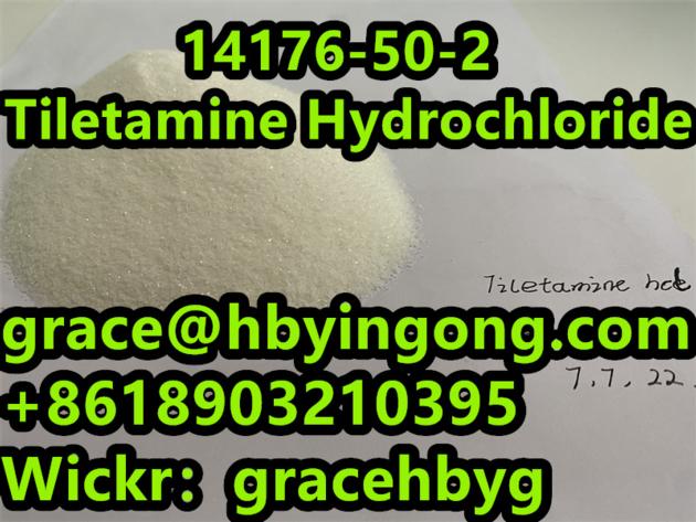 High Quality 14176 50 2 Tiletamine