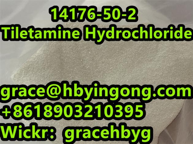 High Quality 14176 50 2 Tiletamine