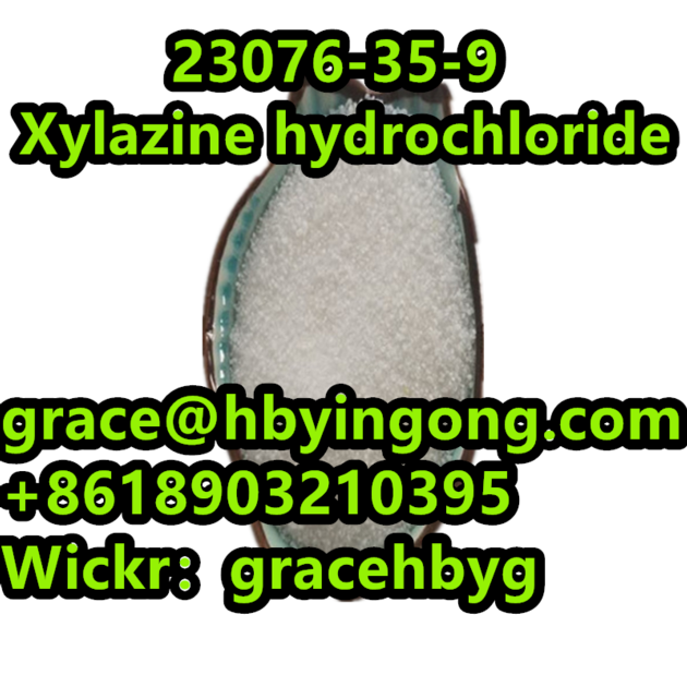 High Quality 23076 35 9 Xylazine