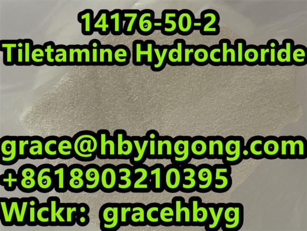 High Quality 14176 50 2 Tiletamine