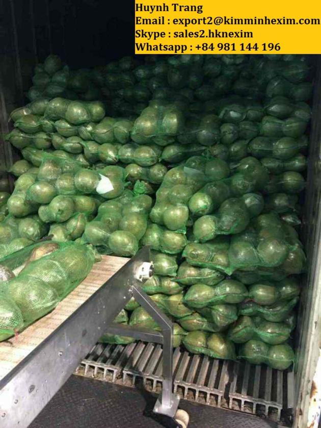 FRESH YOUNG COCONUT