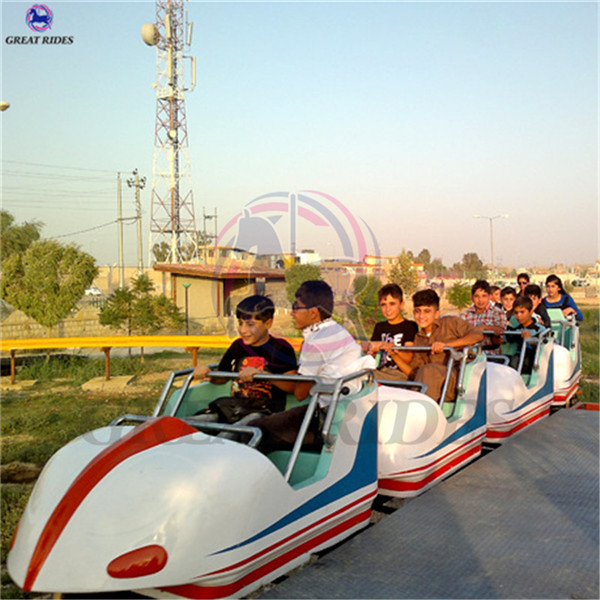 Theme Park Rides Mini Roller Coaster