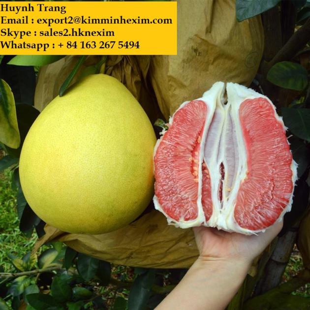 Fresh Pomelo