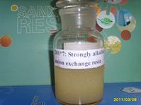 Strong-Base Type I (Gel) Anion Exchange Resin