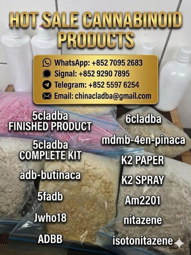 5CLADBA Yellow Powder Buy 5CLADBA Online
