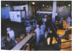 FOODSTUFF CONVEYOR BELT