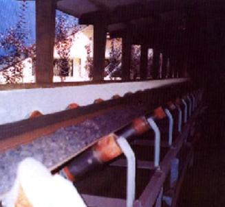 HEAT RESISTANT CONVEYOR BELT