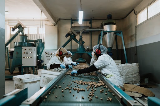 Leading Of The Argan Oil Producer