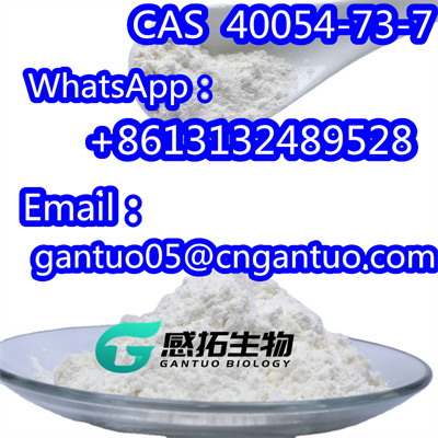 Deschloroetizolam Hot sale CAS 40054-73-7