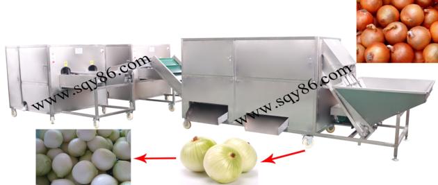 Automatic Onion Peeling and Root Cutting Production Line