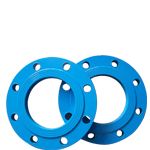 stainless steel forged flange