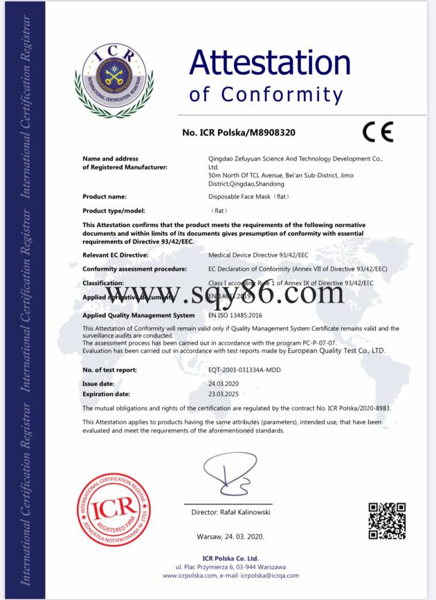 N95 Mask