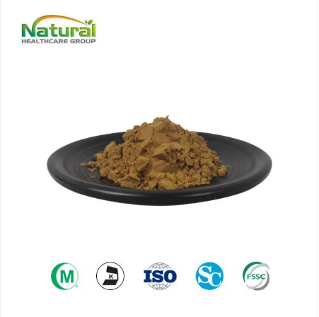 Mulberry Leaf Extract Powder