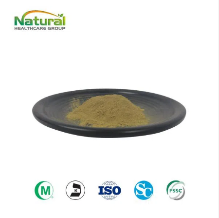 Olive Leaf Extract Powder