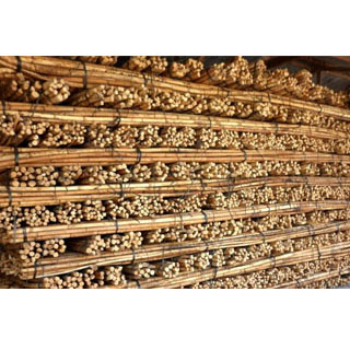Rattan Cane