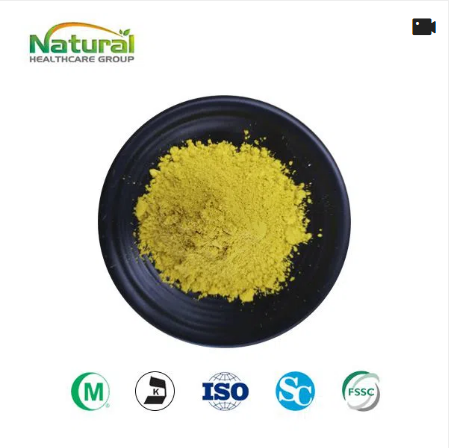 Sophora Japonica Extract