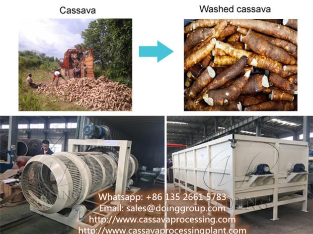 Special design cassava washing and peeling machine paddle washing machine in cassava processing plan
