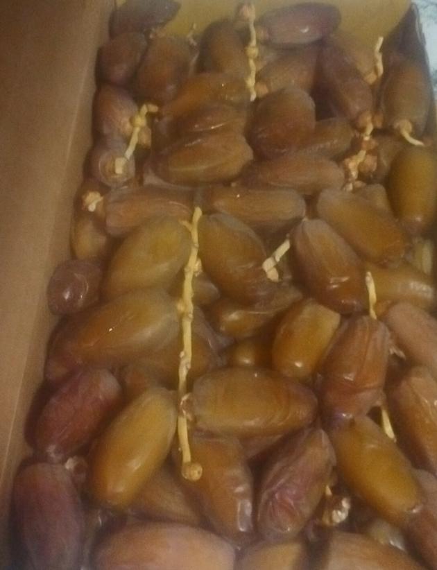 Datte Tunisienne Deglet Nour