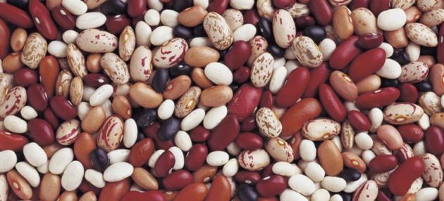 Beans, red& white, chickpeas,mung bean
